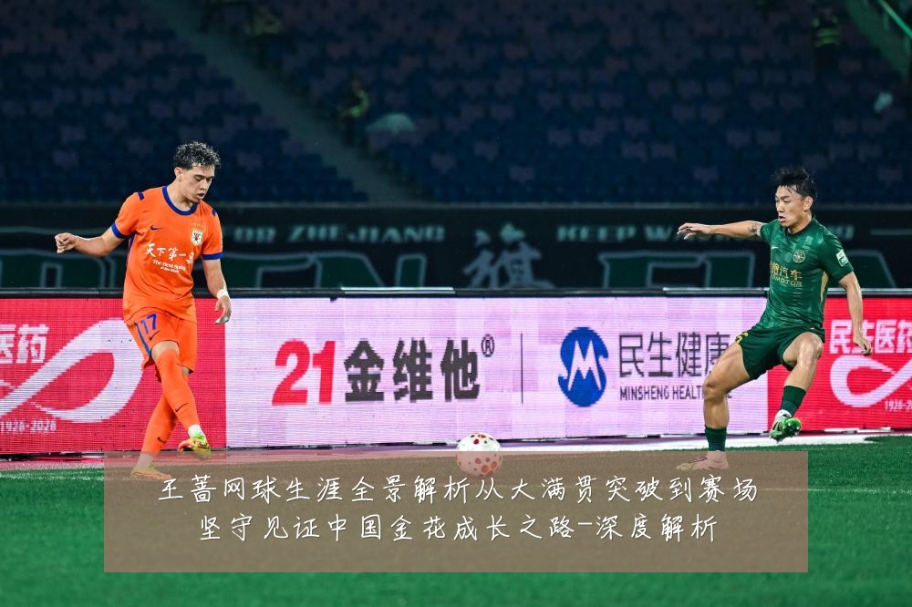 王蔷网球生涯全景解析从大满贯突破到赛场坚守见证中国金花成长之路-深度解析